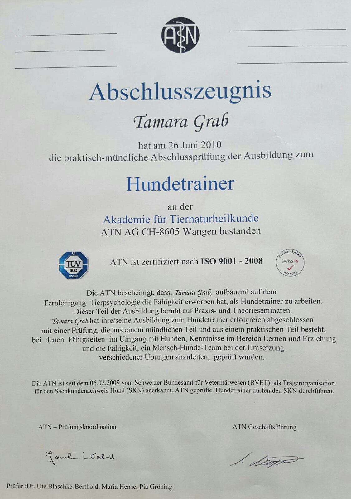 hundetrainer hundeerziehung hundeschule