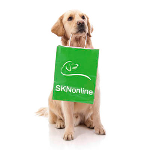 online Hundekurs anmelden
