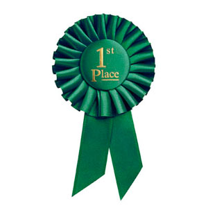 vorteile online Hundekurs