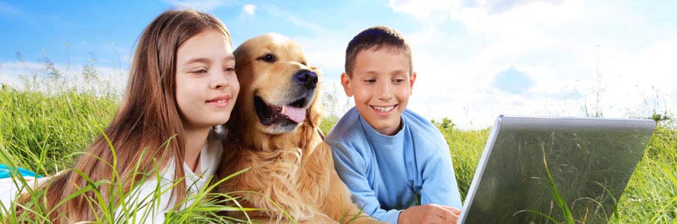 Sachkundenachweis Hunde, SKN Kurs, online Hundeschule, Hundetrainer